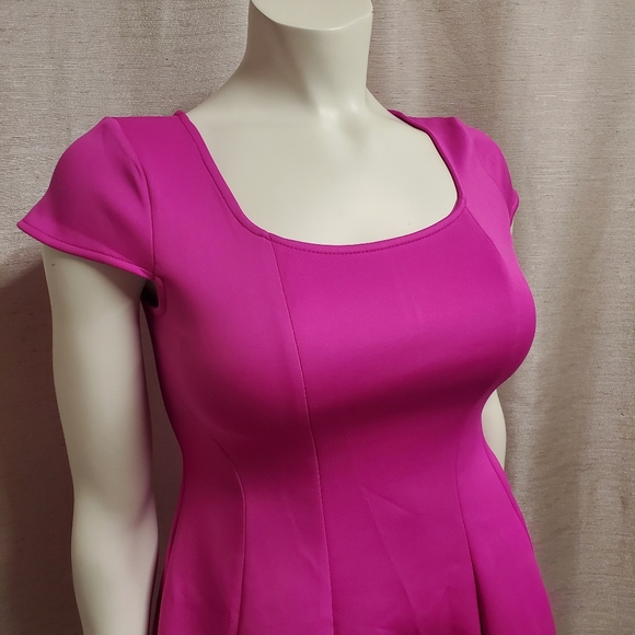 Fuchsia Swing Dress - Picture 3 of 5